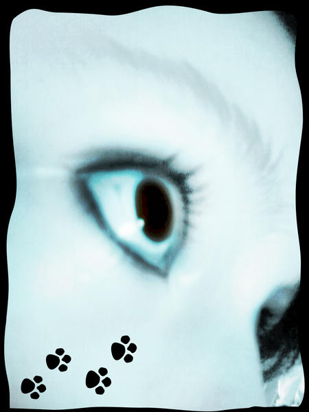 SoProudOfMyEyes