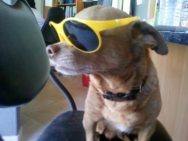 My SEXIE Dog
Love Her xx
